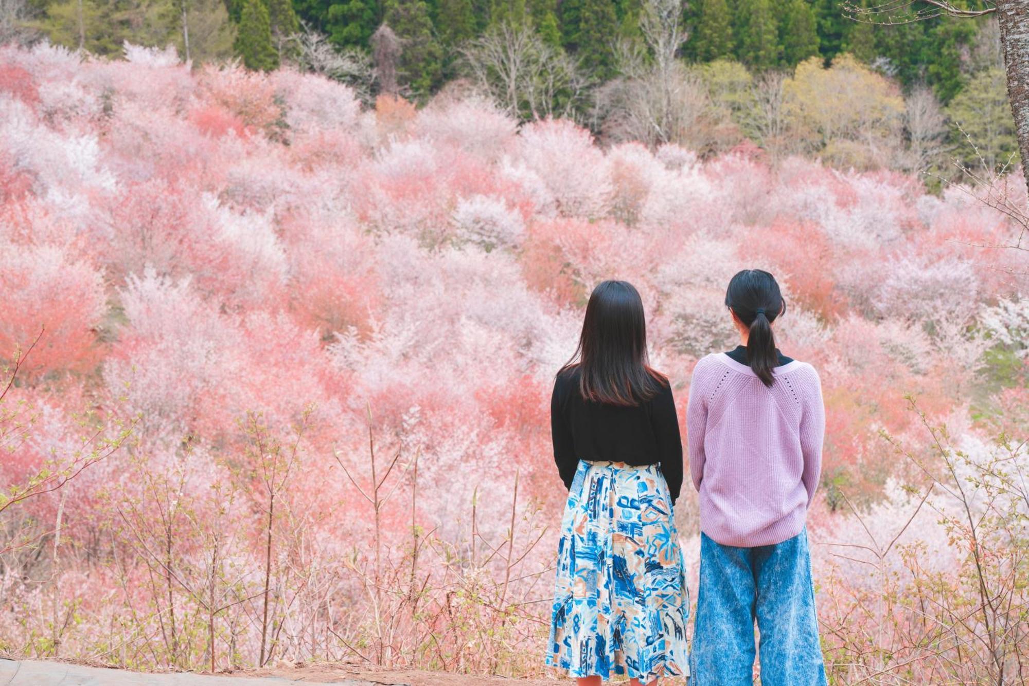 Urabandai Lake Resort Goshiki No Mori Kitashiobara Экстерьер фото