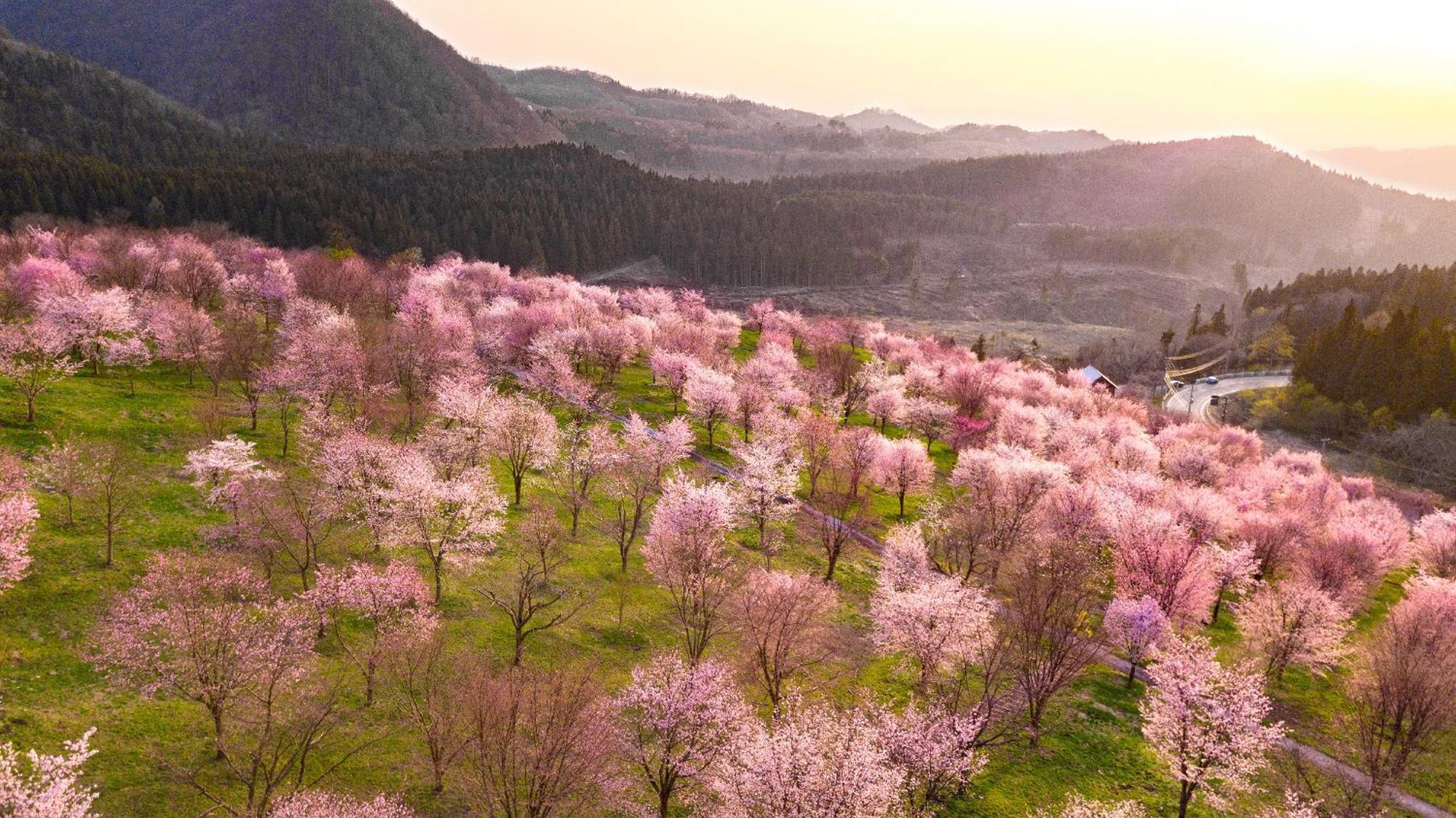 Urabandai Lake Resort Goshiki No Mori Kitashiobara Экстерьер фото