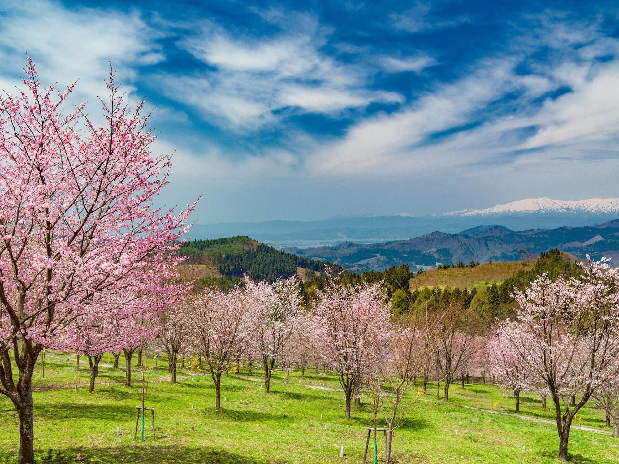 Urabandai Lake Resort Goshiki No Mori Kitashiobara Экстерьер фото