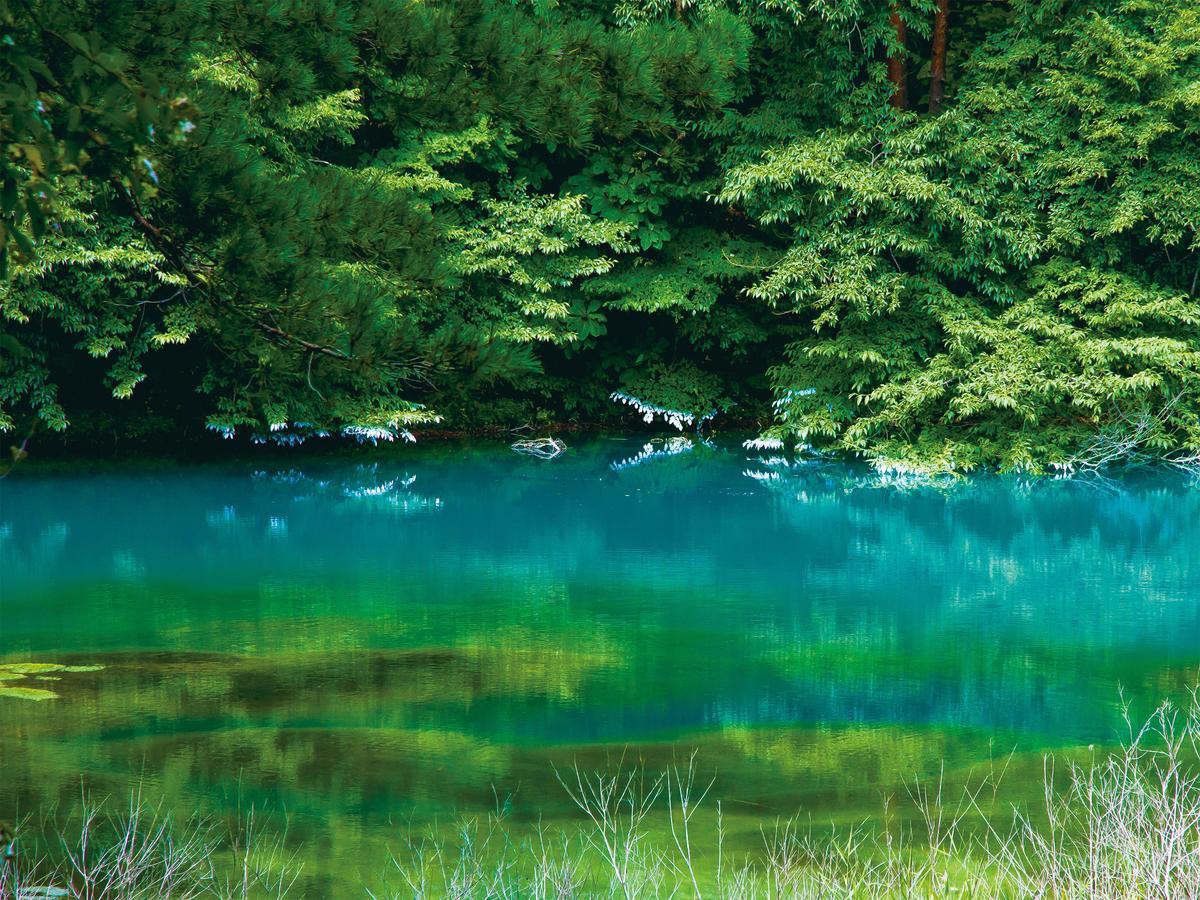 Urabandai Lake Resort Goshiki No Mori Kitashiobara Экстерьер фото